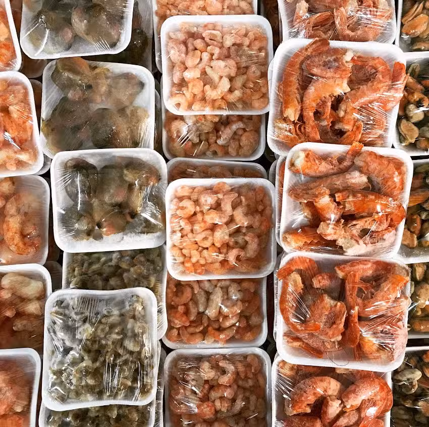 Pescaderia Portofino