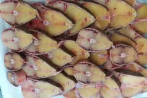 Pescader&iacute;a Puerto Arag&oacute;n