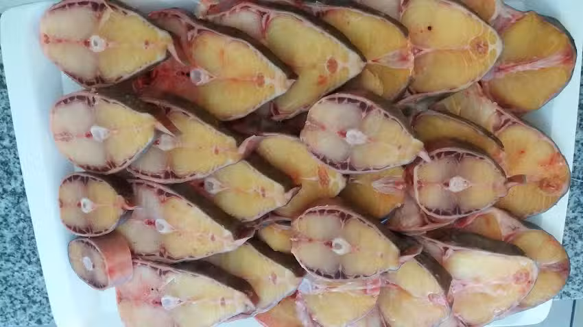 Pescadería Puerto Aragón