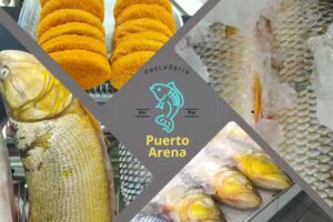 Pescader&iacute;a Puerto Arena