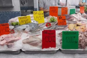 Pescaderia Puerto Esperanza, paso del rey