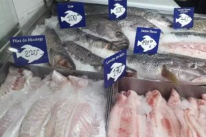 Pescader&iacute;a Puerto Nancy Mar