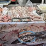 Pescader&iacute;a Puerto Santa Mar&iacute;a