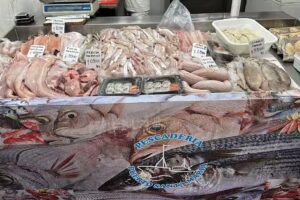 Pescadería Puerto Santa María