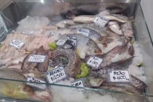 Pescadería Puerto Yrigoyen