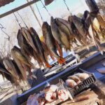 Pescadería San Benito