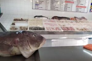 Pescader&iacute;a San Jorge