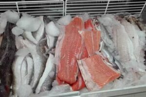 Pescader&iacute;a Sorrento