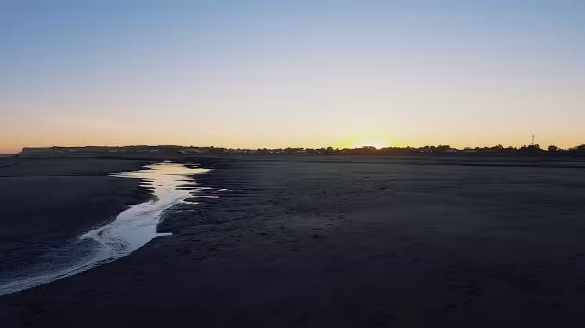 Pescadería Stella Maris