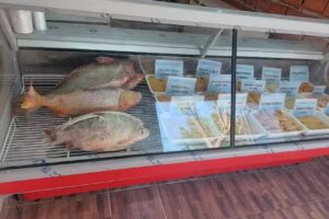 Pescaderia sueño dorado