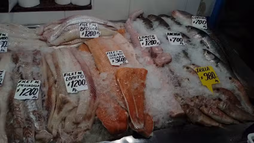 Pescadería – Tienda de Pescados y Mariscos
