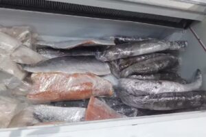Pescaderia Timon Al Sur