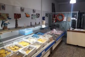 Pescader&iacute;a wilde