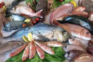 Pescadería y Marisqueria “El Pulpo”