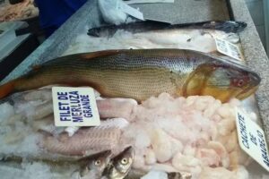 Pescadería y Marisquería El Tiburón