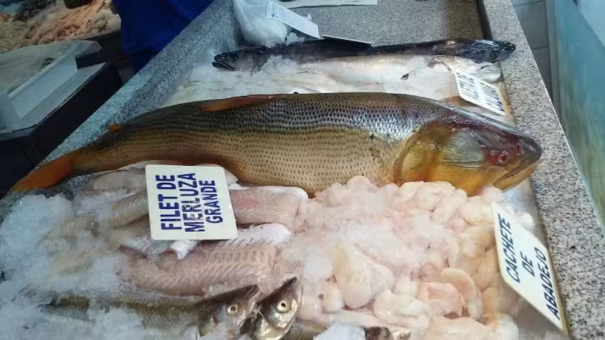 Pescader&iacute;a y Marisquer&iacute;a El Tibur&oacute;n