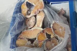 Pescader&iacute;a y Marisquer&iacute;a Mediterr&aacute;nea