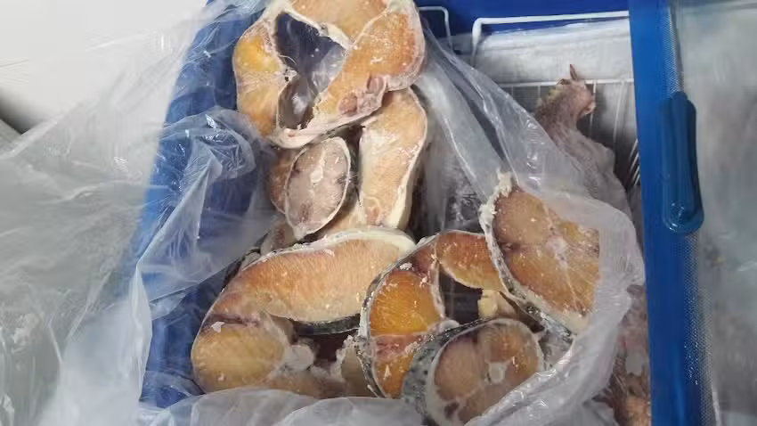 Pescader&iacute;a y Marisquer&iacute;a Mediterr&aacute;nea