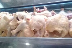 Pescaderia Y Polleria Don Carlos