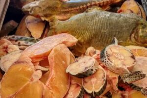 Pescader&iacute;a y tienda de congelados