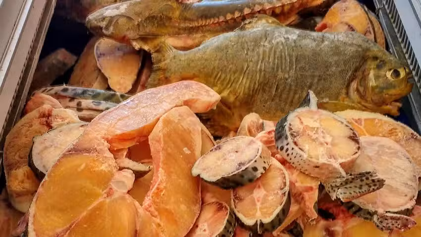 Pescadería y tienda de congelados