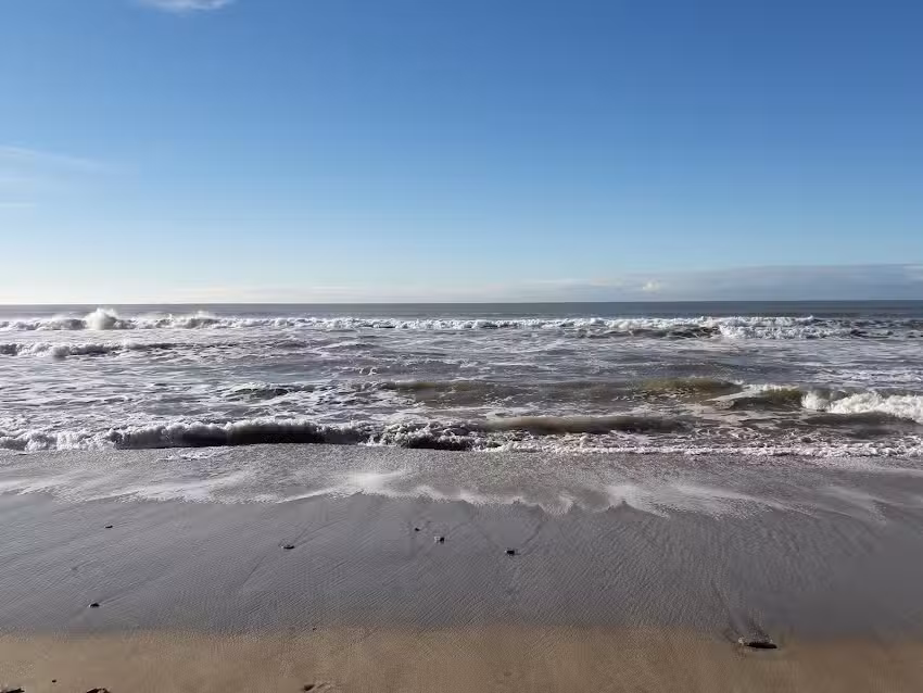 Venta Pescado Fresco